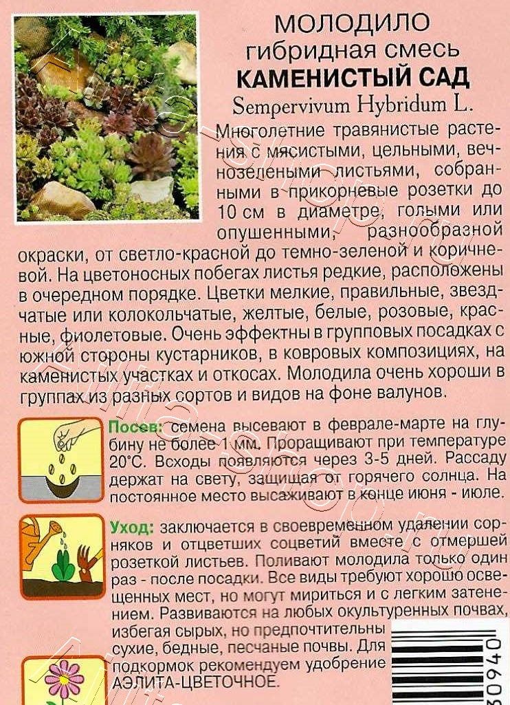 Молодило Каменистый сад 0,005г