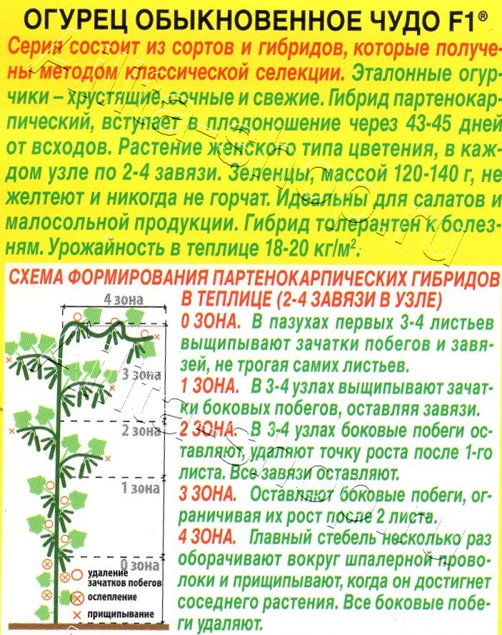 Огурец Обыкновенное чудо F1 10шт