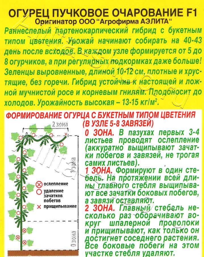 Огурец Пучковое очарование F1 10шт