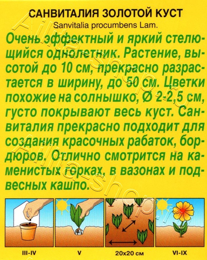 Санвиталия Золотой куст 0,05г