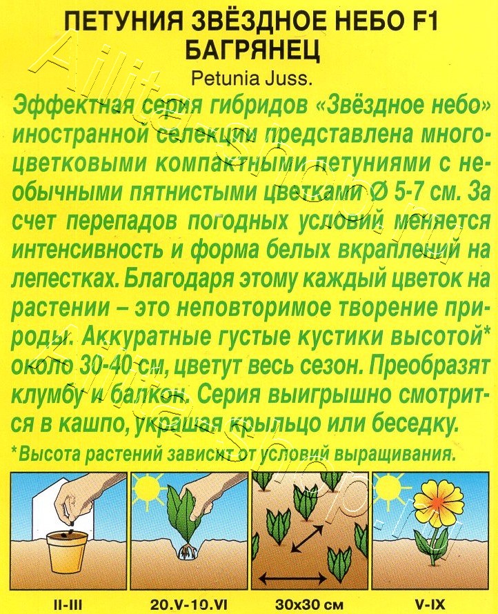 Петуния Звездное небо F1 багрянец 7шт