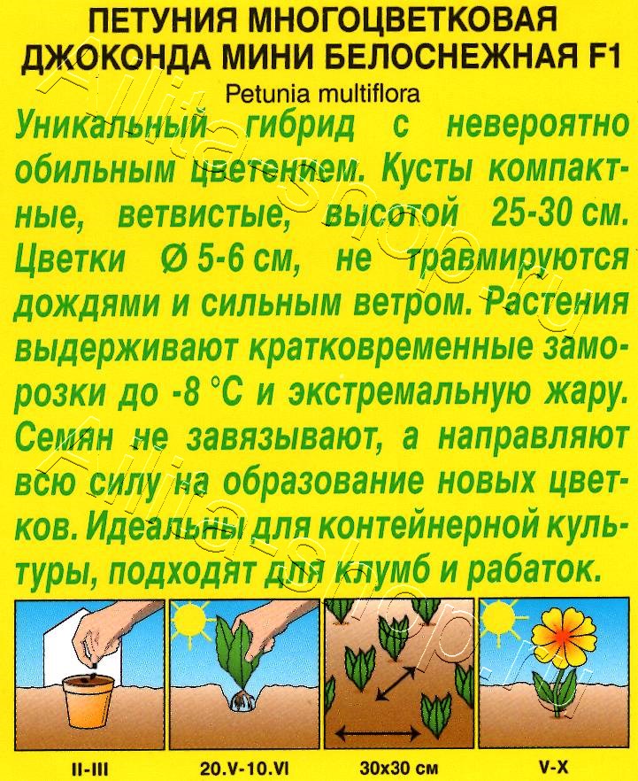 Петуния Джоконда мини F1 белоснежная 5шт