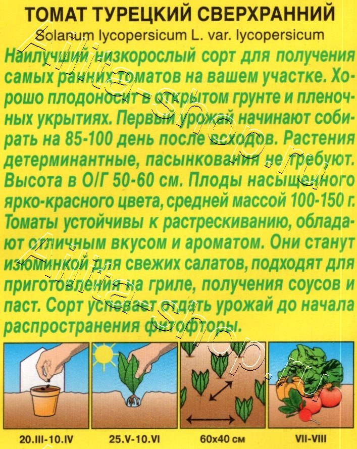 Томат Турецкий сверхранний 15шт