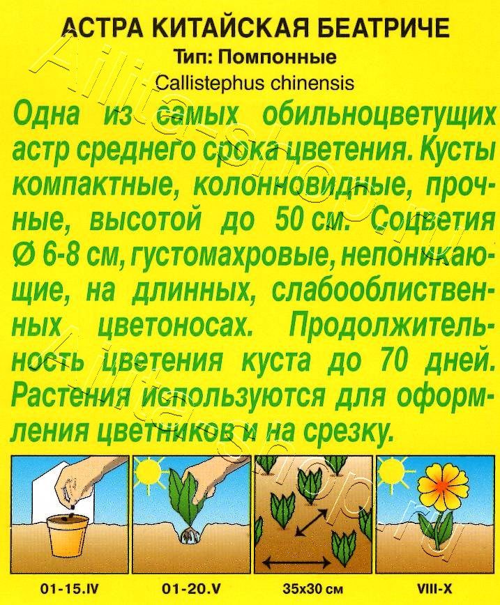 Астра Беатриче 0,2г