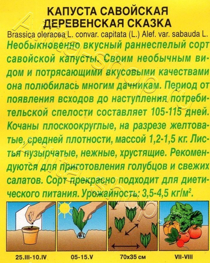 Капуста савойская Деревенская сказка 0,3г