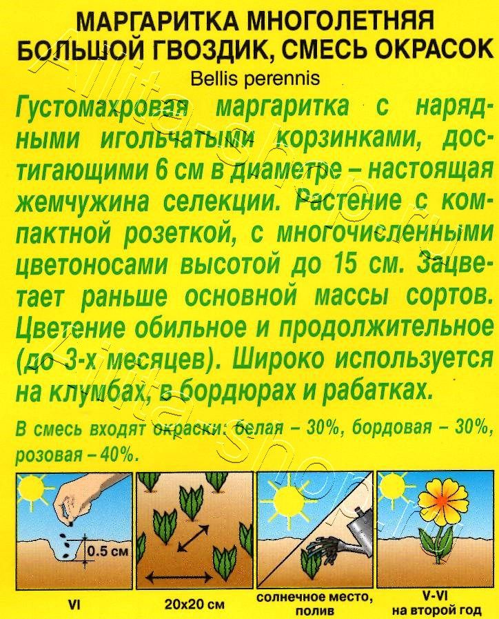 Маргаритка Большой гвоздик махровая, смесь окрасок 0,05г