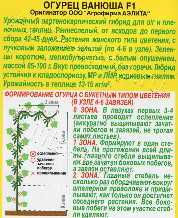 Огурец Ванюша F1 10шт