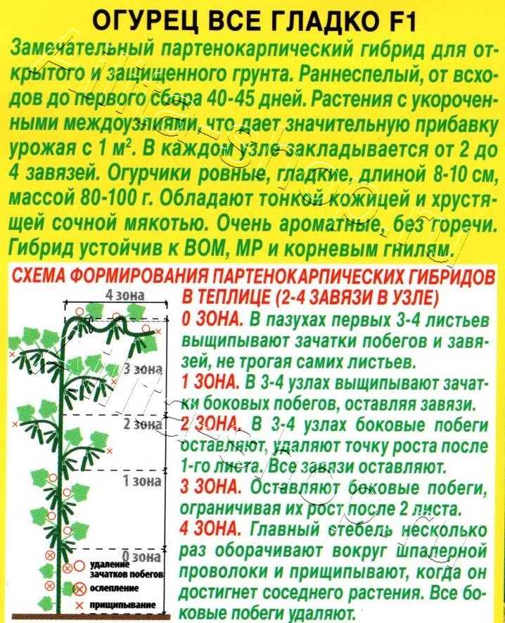 Огурец Все гладко F1 10шт
