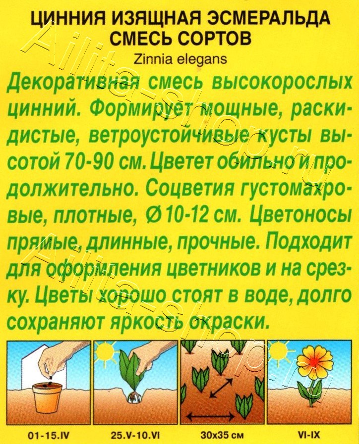 Цинния Эсмеральда, смесь окрасок 0,3г