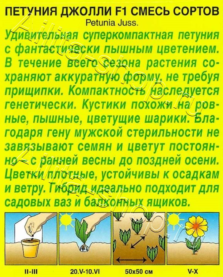 Петуния Джолли F1 многоцветковая, смесь окрасок 7шт