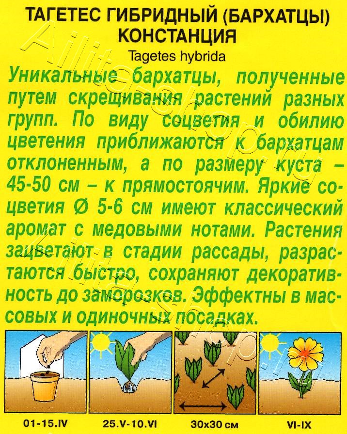 Бархатцы Констанция гибридные 0,1г