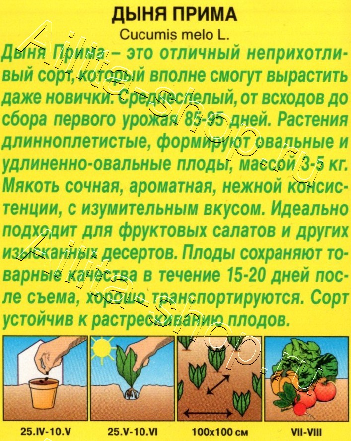 Дыня Прима 1г