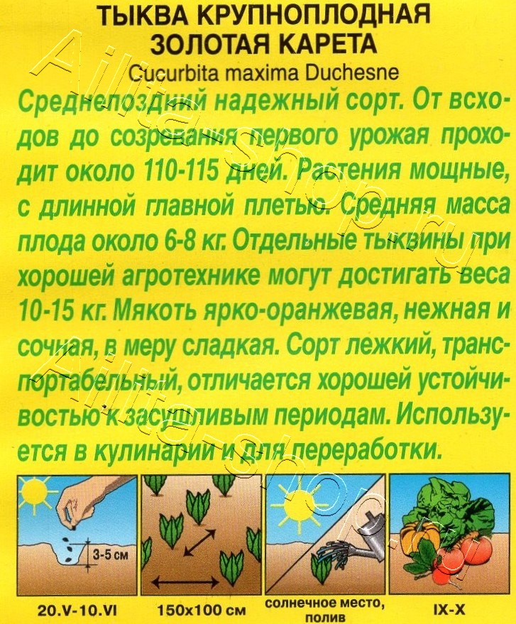 Тыква крупноплодная Золотая карета 1г