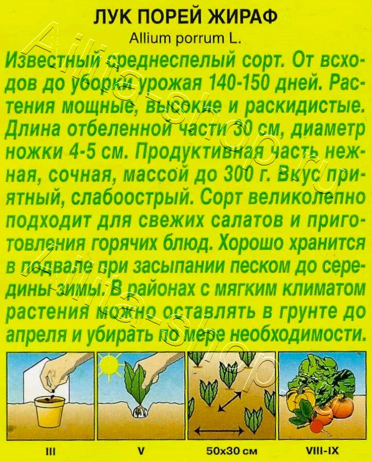 Лук порей Жираф 0,5г