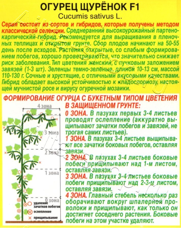 Огурец Щурёнок F1 10шт