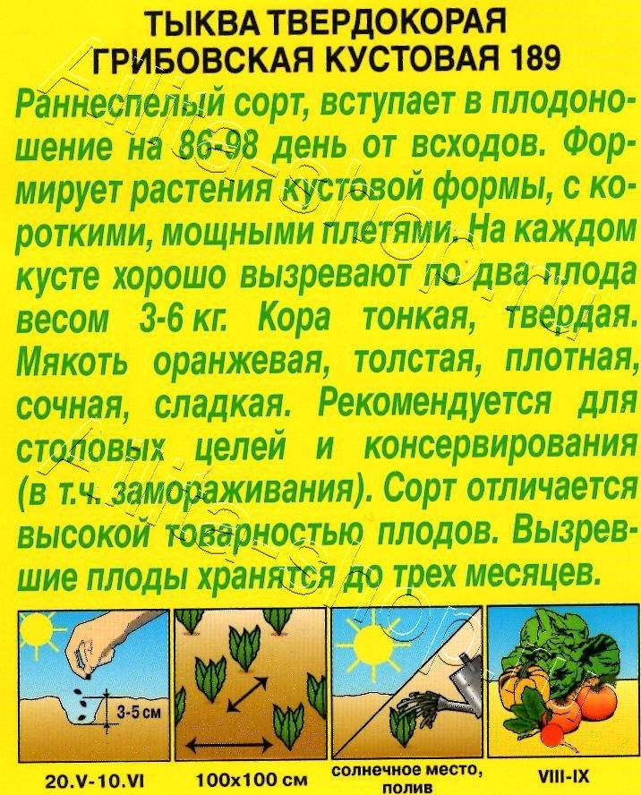 Тыква твердокорая Грибовская кустовая 189 1г