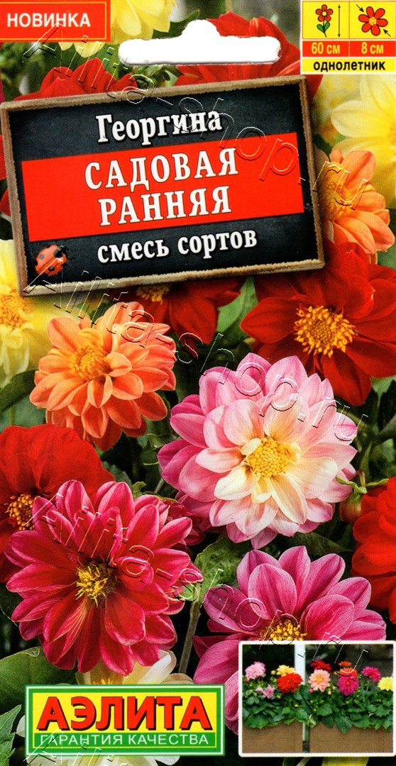 Георгина Садовая ранняя, смесь сортов 0,3г