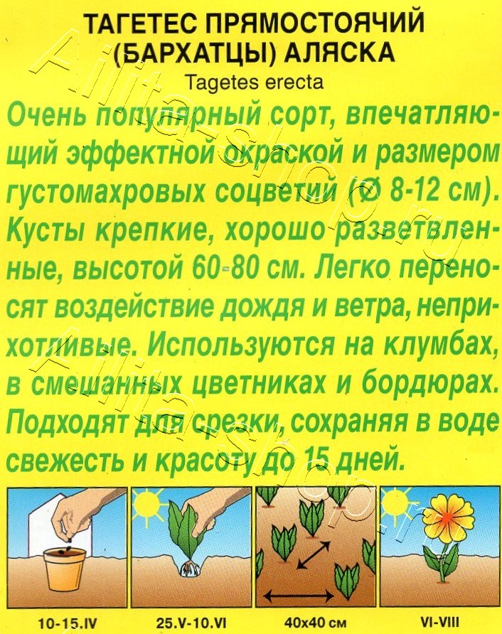 Бархатцы Аляска прямостоячие 0,1г