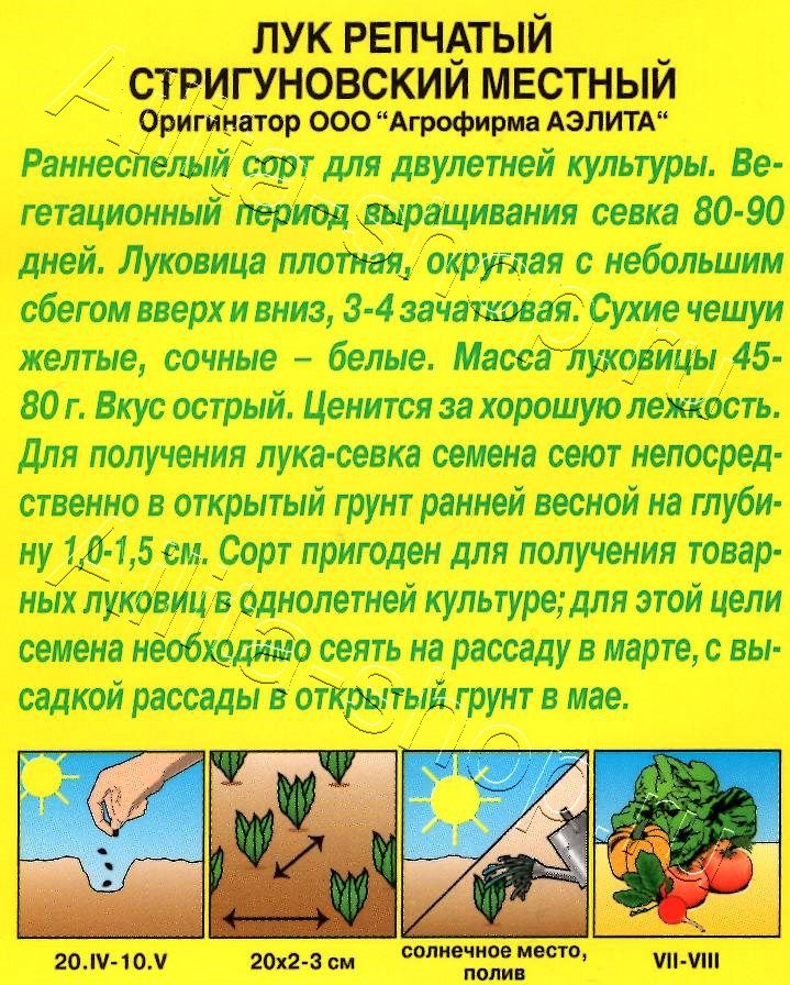 Лук репчатый Стригуновский местный 1г