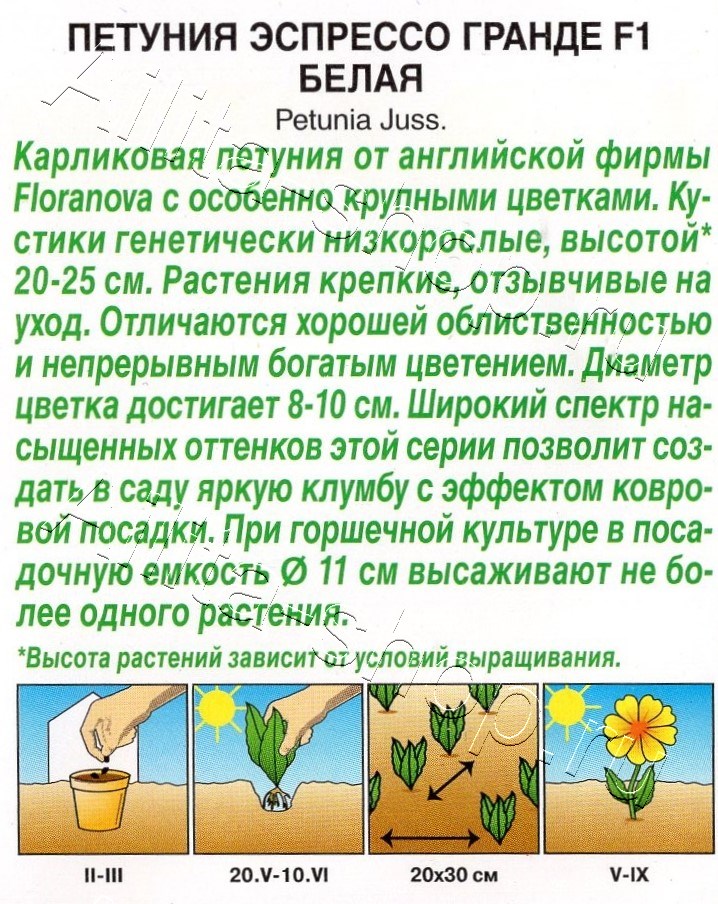Петуния Эспрессо Гранде F1 крупноцветковая белая 7шт