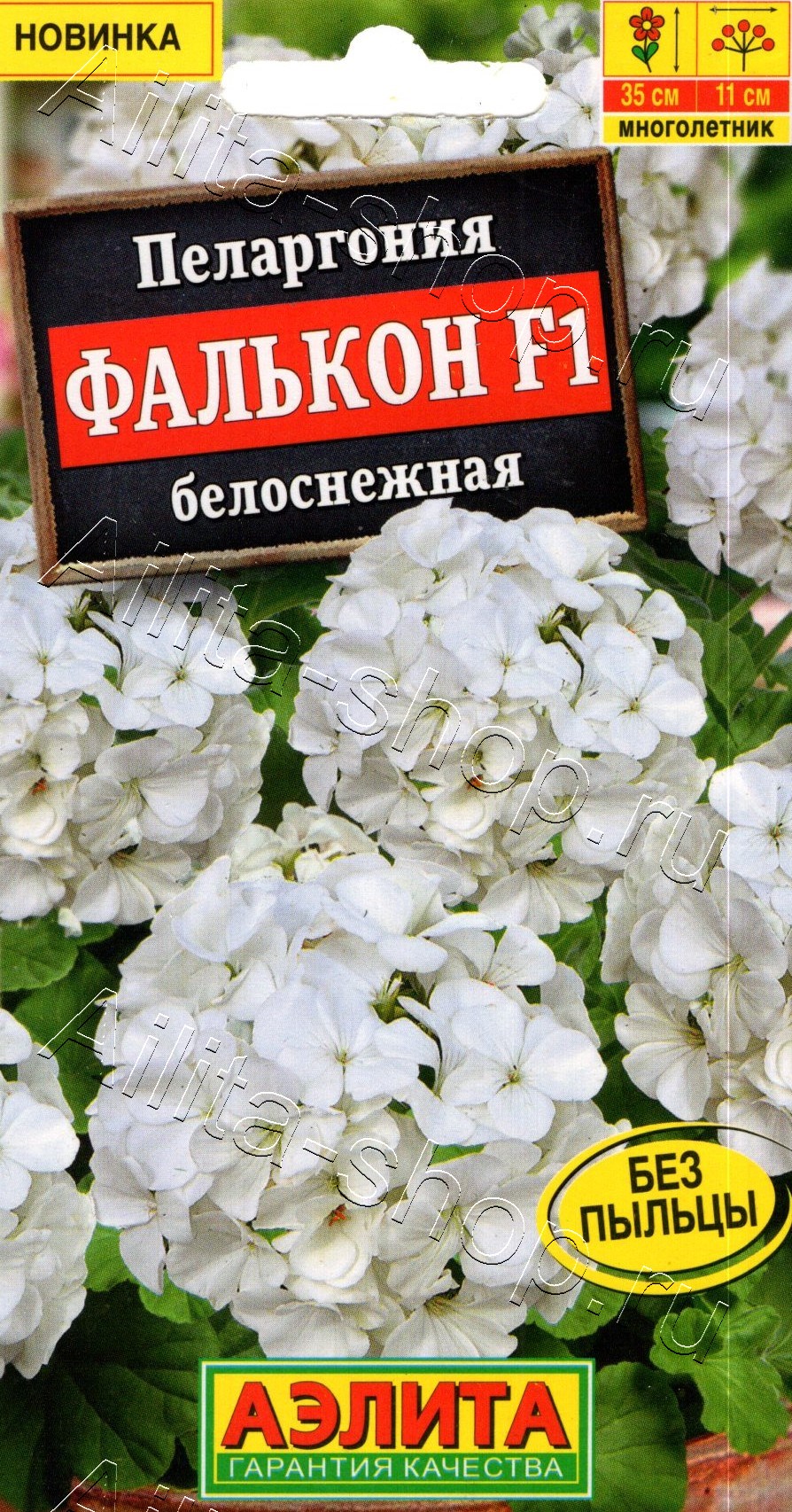 Пеларгония садовая Фалькон F1 белоснежная 4шт