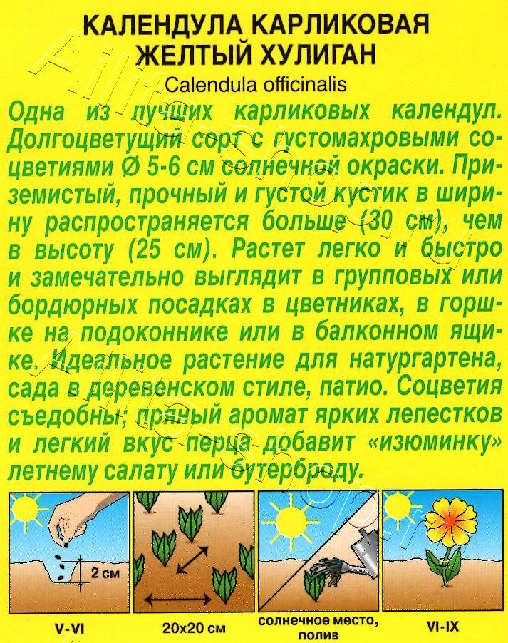 Календула Желтый хулиган 0,3г