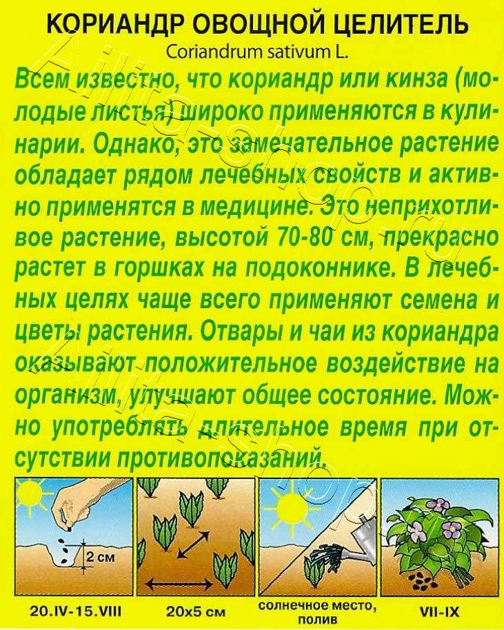 Кориандр овощной Целитель 2г