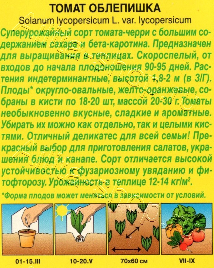 Томат Облепишка 15шт