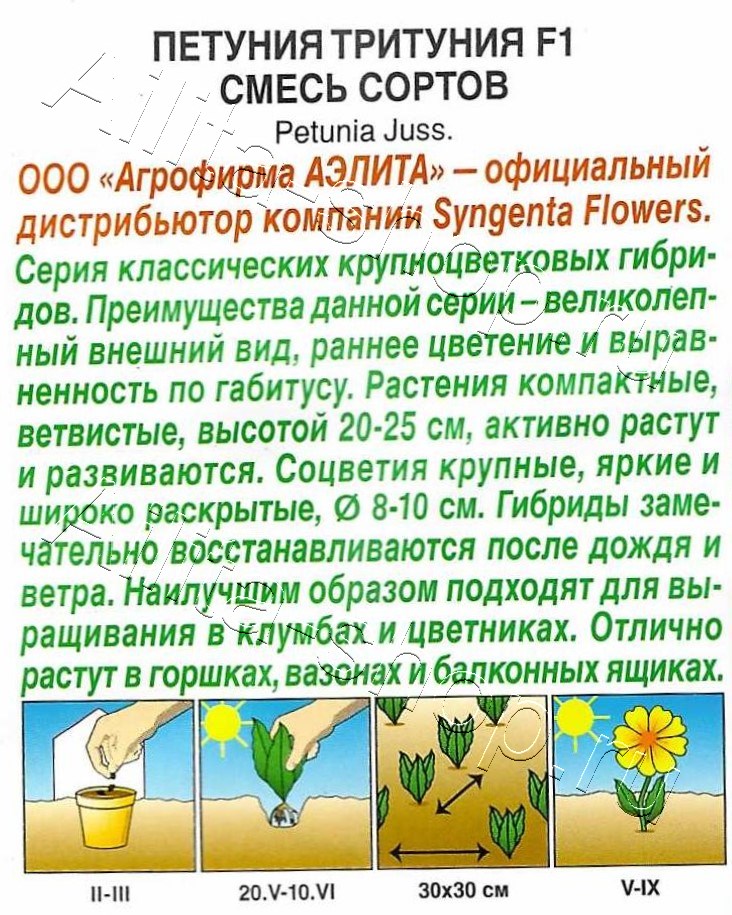 Петуния Тритуния F1, смесь сортов 7шт