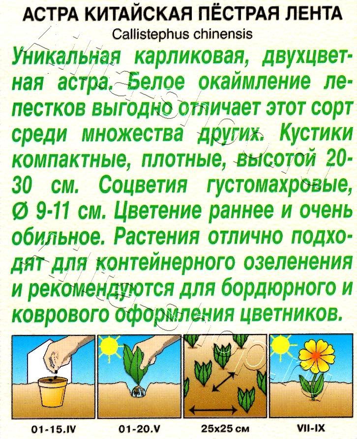 Астра Пестрая лента 0,1г