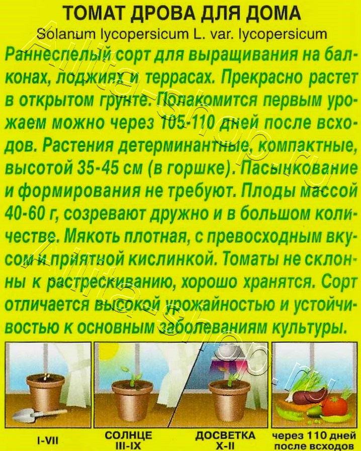 Томат Дрова (для дома) 10шт