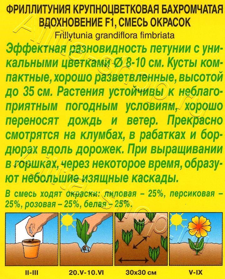 Фриллитуния Вдохновение F1 крупноцветковая бахромчатая, смесь окрасок 10шт