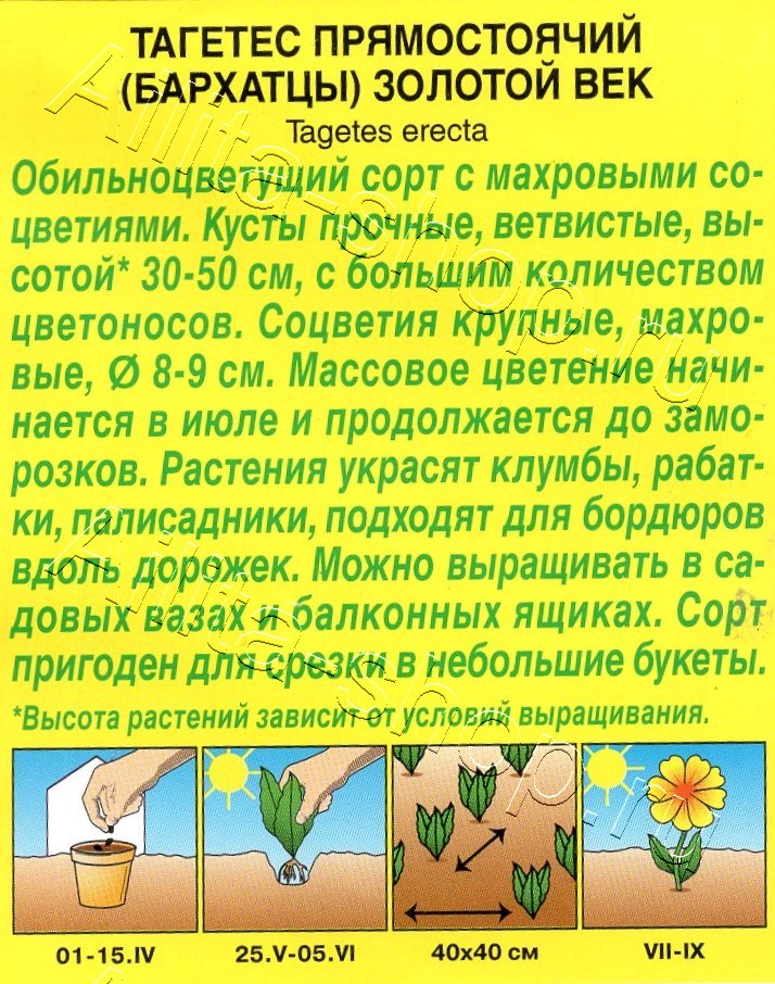 Бархатцы Золотой век прямостоячие 0,1г