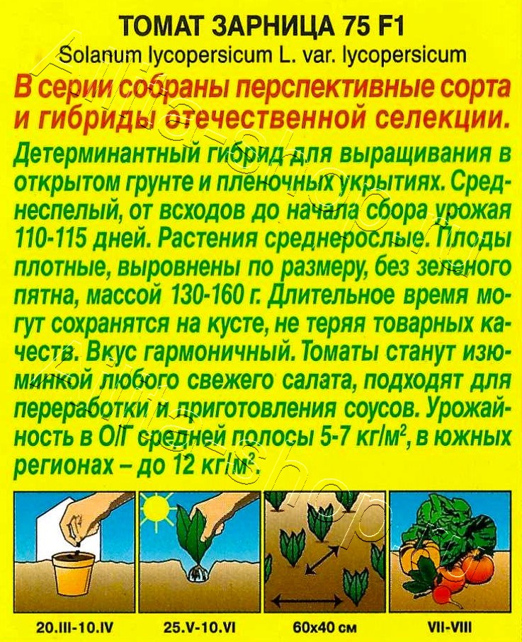 Томат Зарница 75 F1 10шт