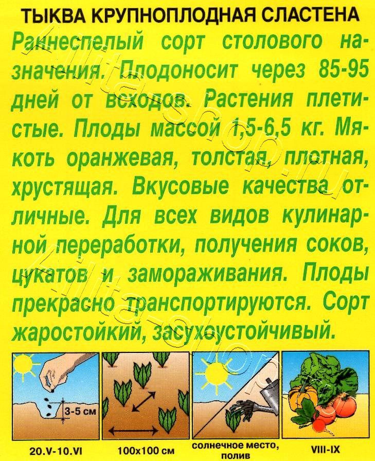 Тыква крупноплодная Сластена 1г