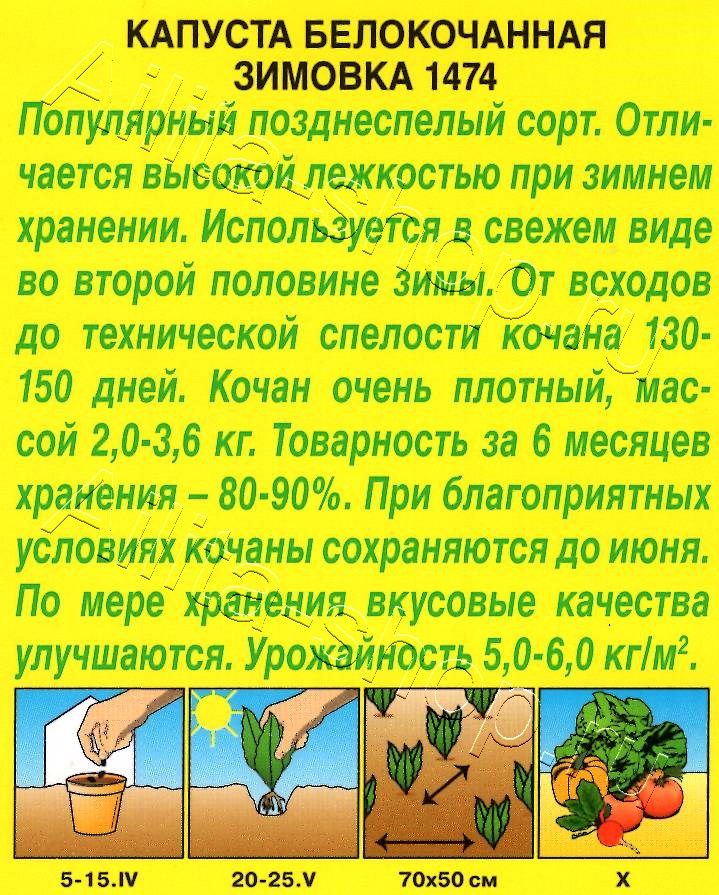 Капуста белокочанная Зимовка 1474 0,5г