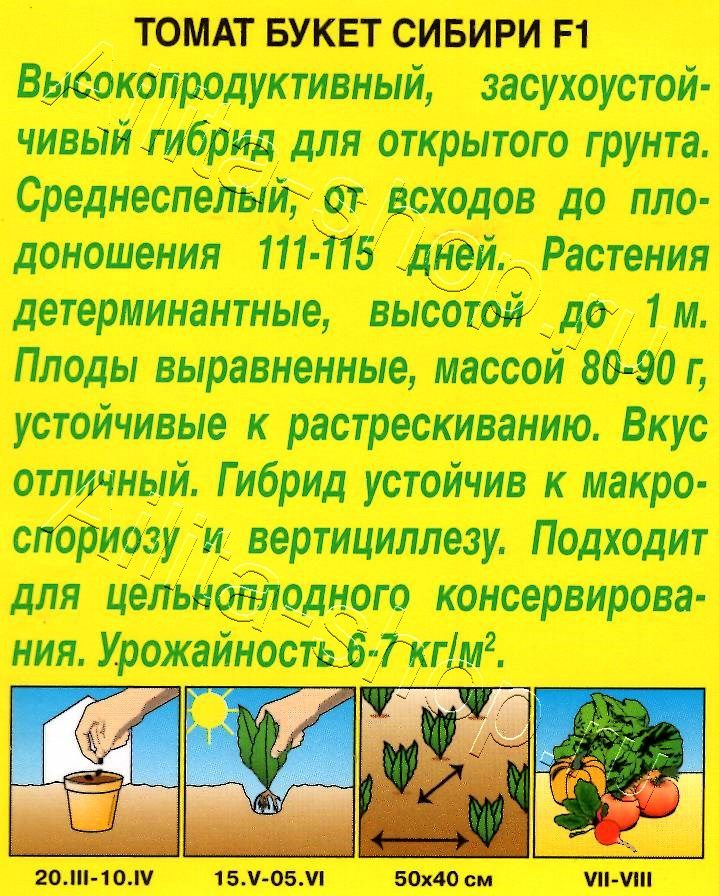 Томат Букет сибири F1 10шт