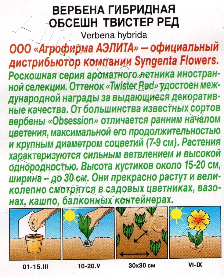 Вербена Обсешн твистер ред 5шт