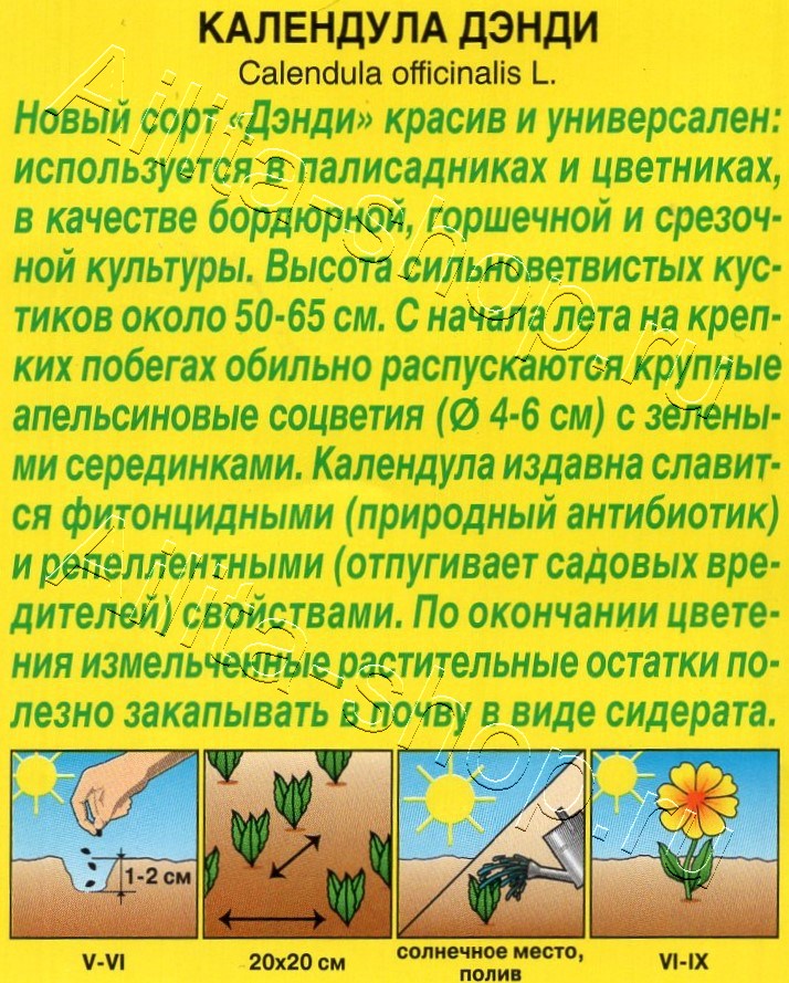 Календула Денди 0,3г