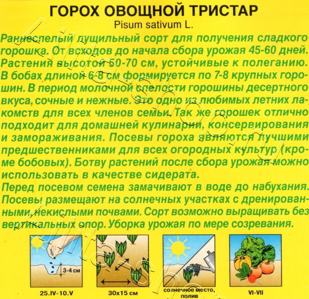 Горох овощной Тристар 25г