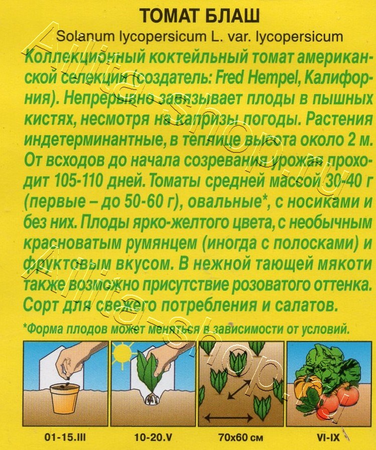 Томат Блаш 20шт