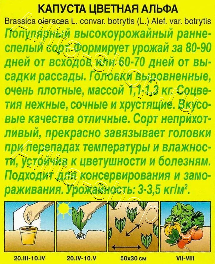 Капуста цветная Альфа 0,2г