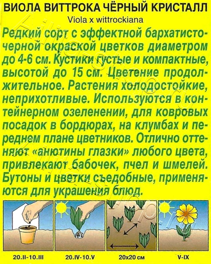 Виола Черный кристалл 20шт