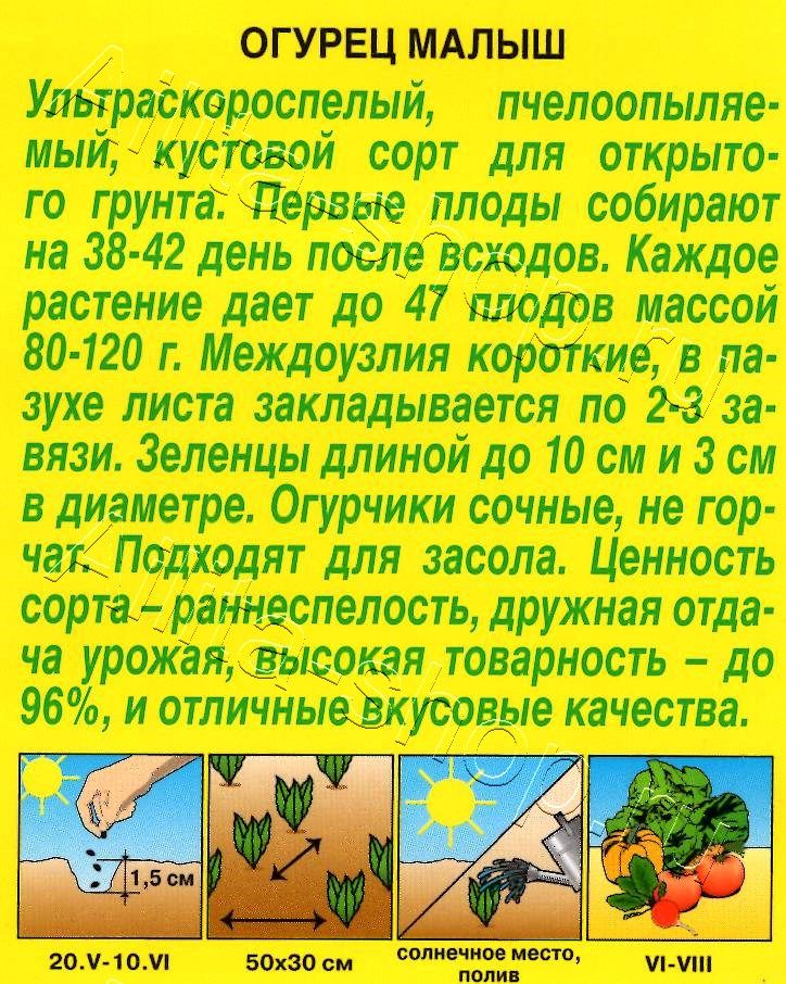 Огурец Малыш 10шт