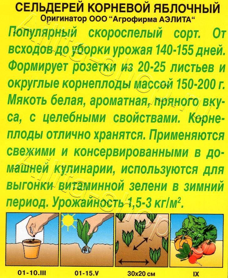 Сельдерей корневой Яблочный 0,5г