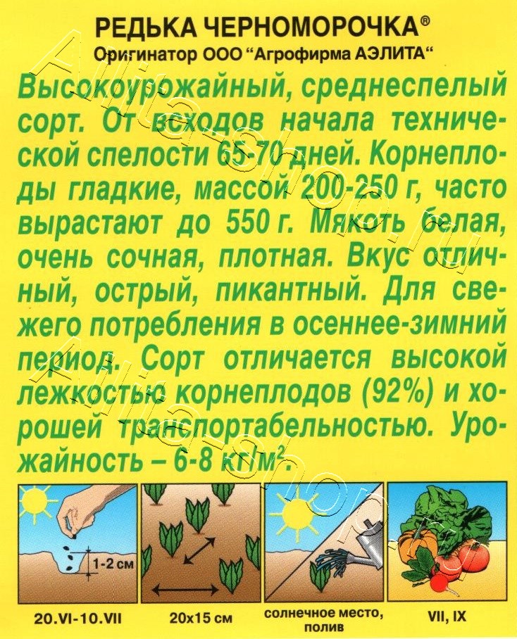 Редька Черноморочка 1г