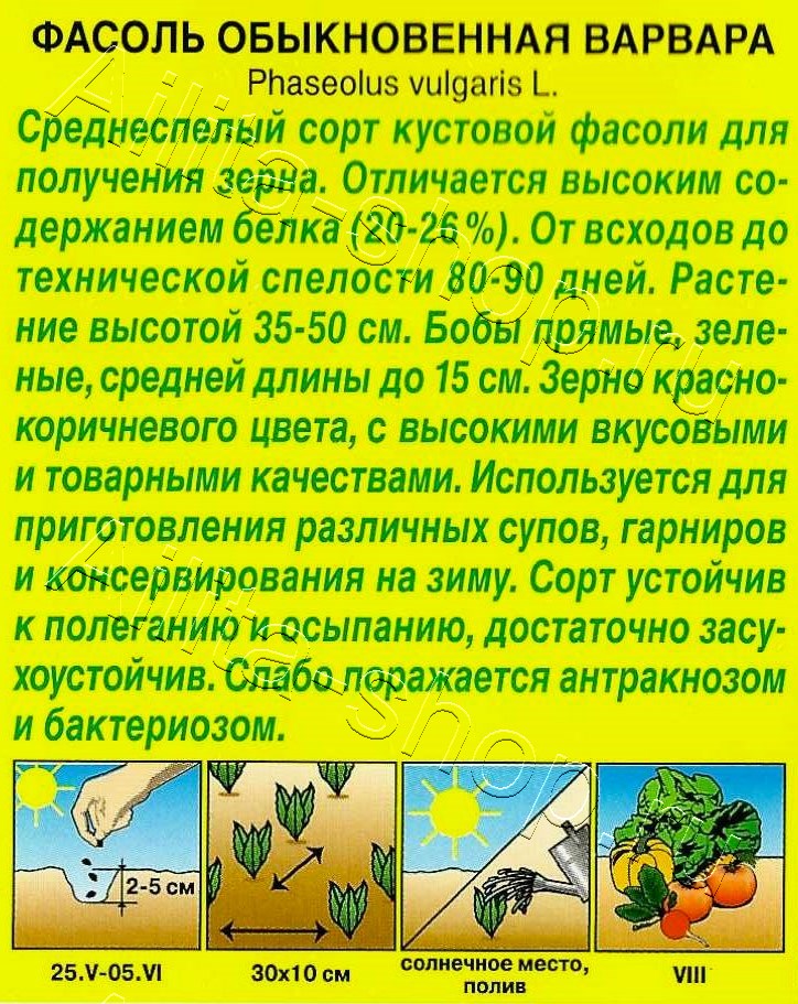 Фасоль обыкновенная Варвара 5г