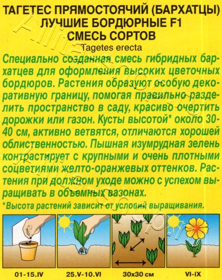 Бархатцы Лучшие бордюрные F1 прямостоячие, смесь сортов 10шт