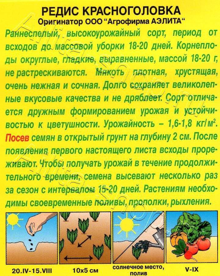 Редис Красноголовка 3г