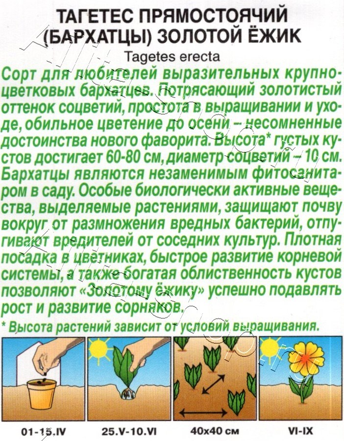 Бархатцы Золотой ёжик прямостоячие 0,1г